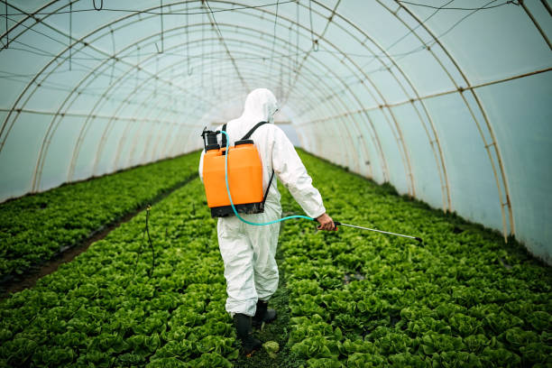 Professional Pest Control in Haddon Heights, NJ