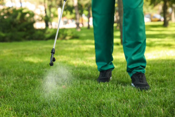 Best Mosquito Control Services  in Haddon Heights, NJ