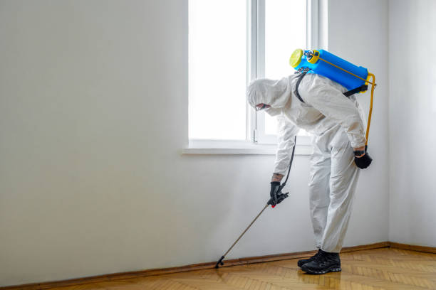 Best Best Pest Control Companies  in Haddon Heights, NJ