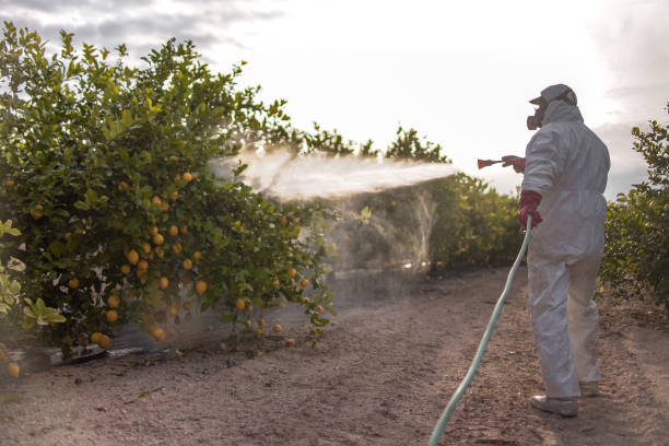 Best Pest Prevention Services  in Haddon Heights, NJ