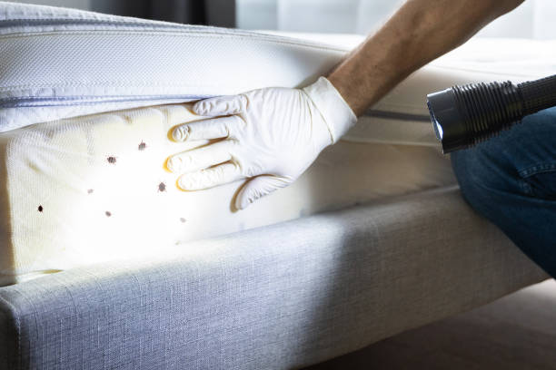 Best Wildlife Control Services  in Haddon Heights, NJ