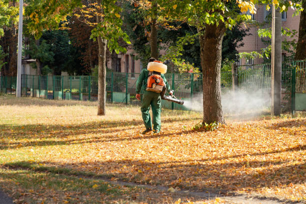 Best Residential Pest Control  in Haddon Heights, NJ