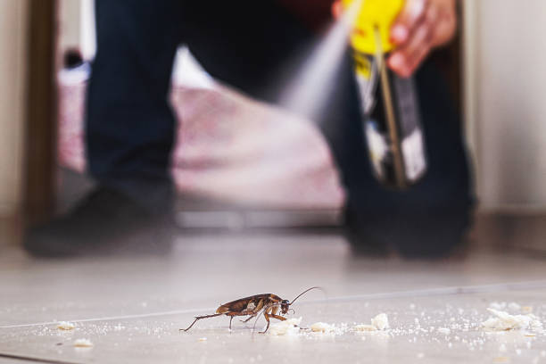 Best Affordable Pest Control Services  in Haddon Heights, NJ