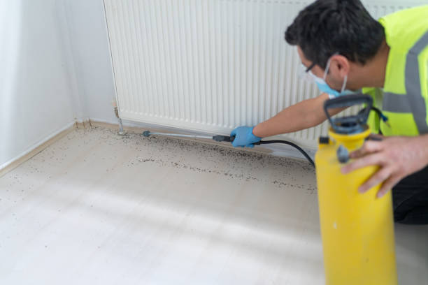 Best Bed Bug Extermination  in Haddon Heights, NJ