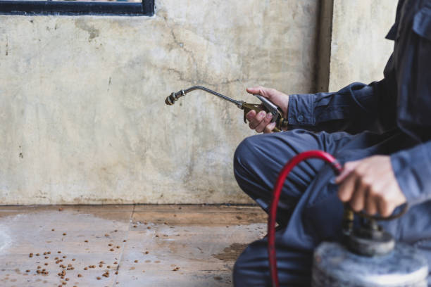 Best Pest Removal Services  in Haddon Heights, NJ